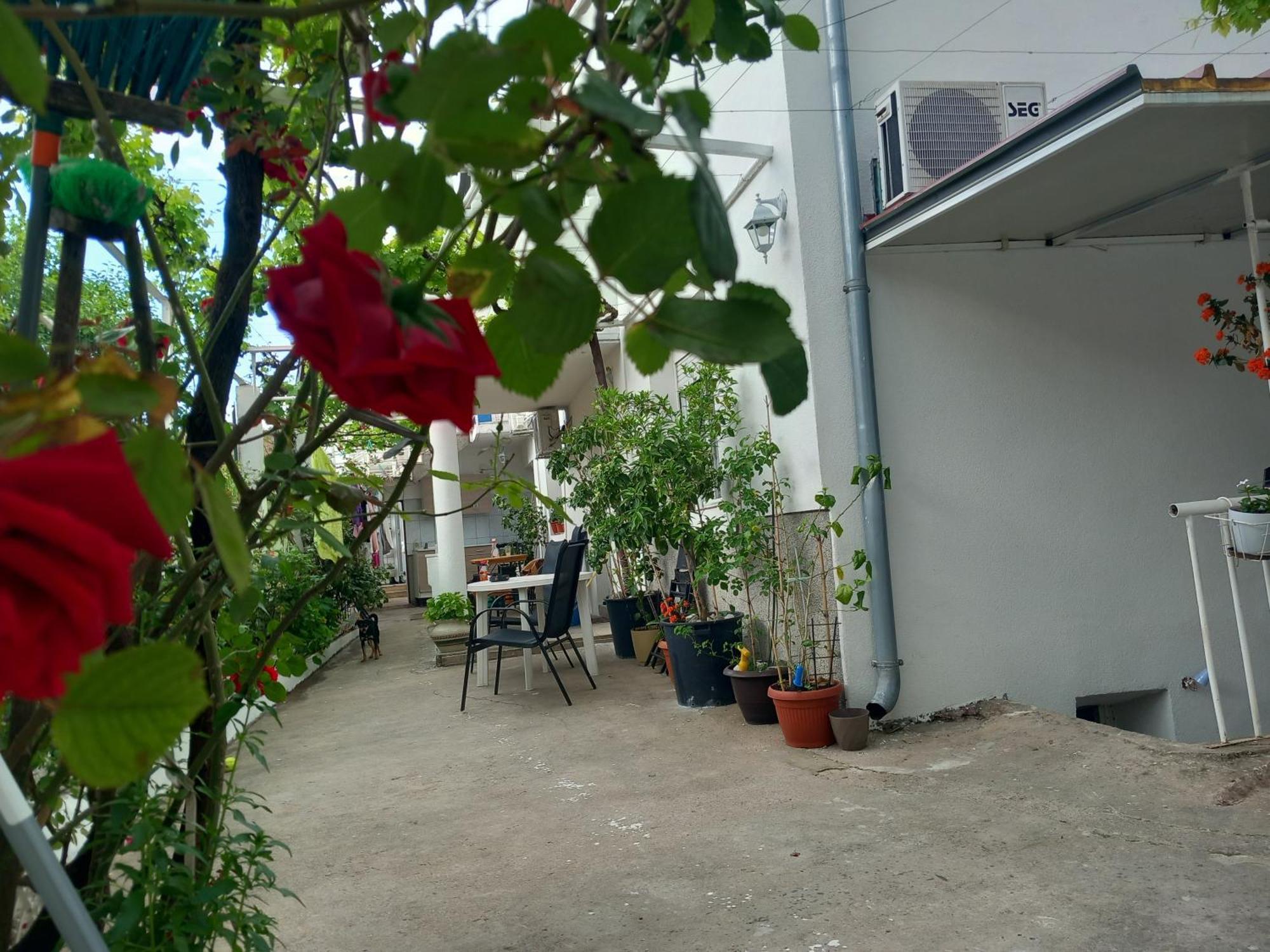 Guest House Dada Mostar Zewnętrze zdjęcie